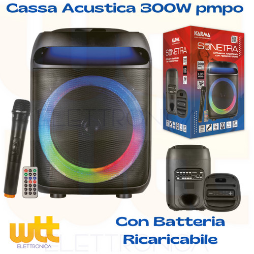 Cassa portatile ricaricabile - cassa,