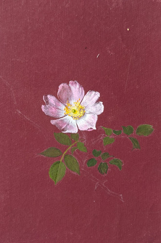 Antico disegno originale