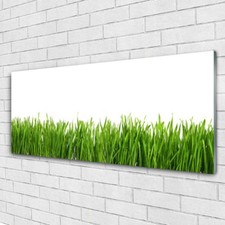 Acrylic print Wall art 125x50