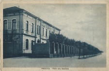 Predosa - Viale della Stazione