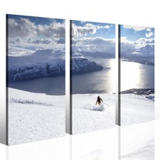 Stampa Su Tela - Sci Montagna