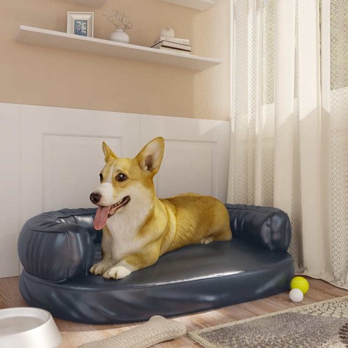 Letto per cani con gommapiuma - cani,