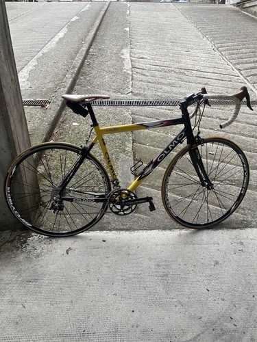 Bicicletta corsa olmo - da,