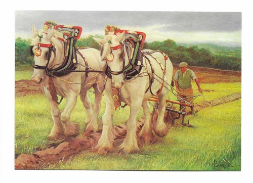 Medici society horses - medici,