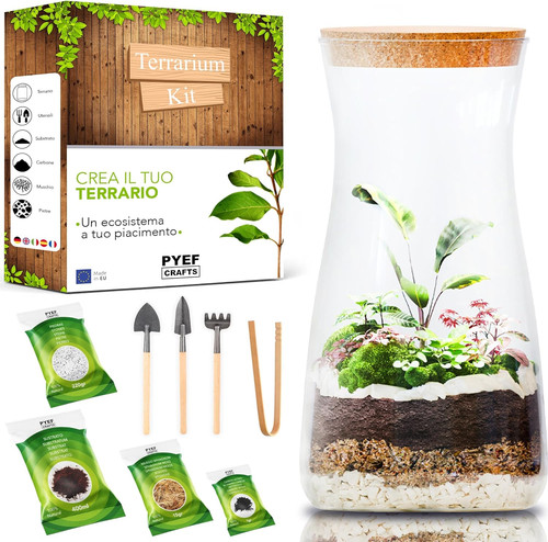 Terrarium kit diy per - diy, un