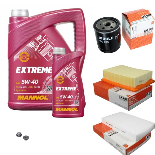 Pacchetto ispezione mahle - pacchetto, 6l