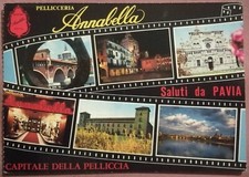 SALUTI DA PAVIA - PELLICCERIA