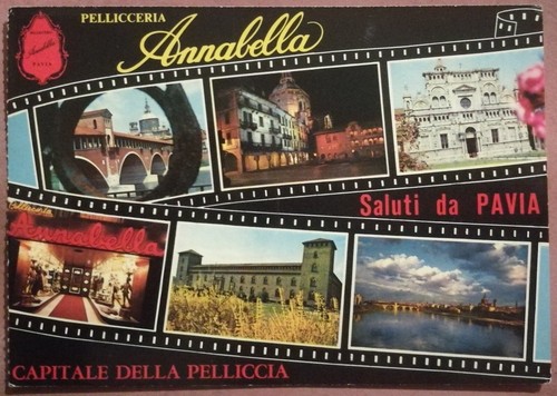 Saluti pavia pellicceria - saluti,