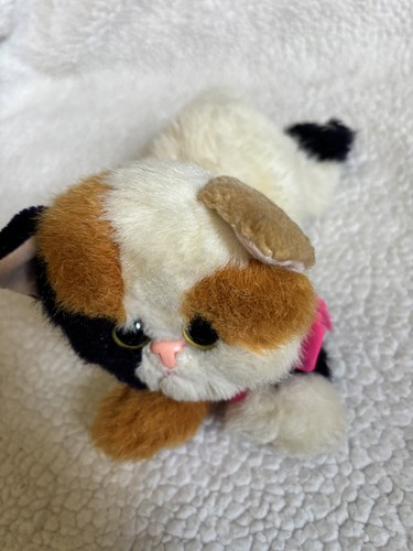 Peluche kitty kittens - peluche,