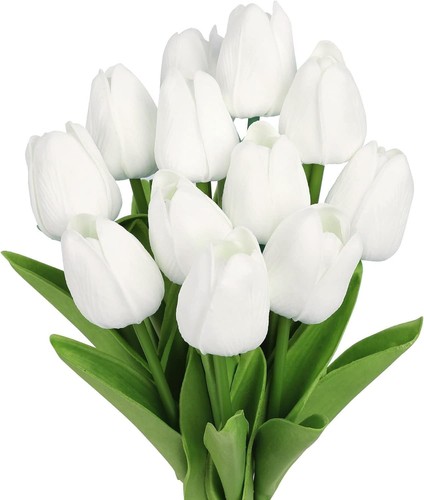Levante group tulipani - group,