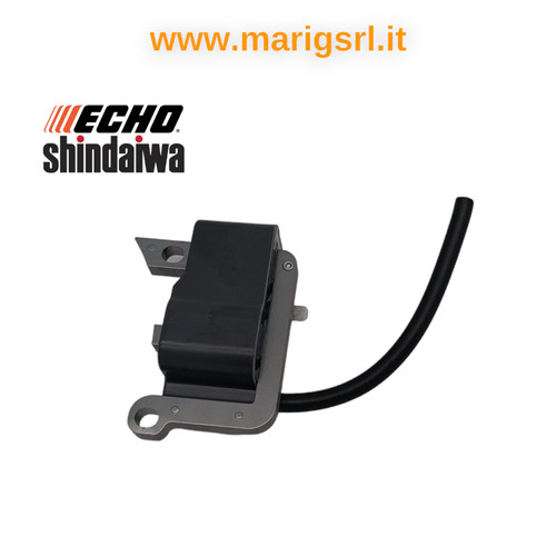 Modulo accensione echo - modulo,