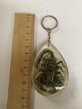 Portachiave Scorpione Vintage