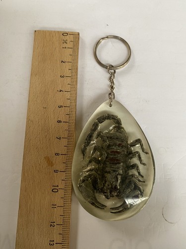 Portachiave scorpione vintage - scorpione,