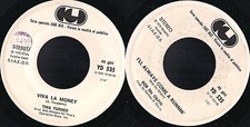 45 GIRI  BOB McGILPIN /TINA TURNER - I'LL ALWAYS COME A RUNNIN' // VIVA LA MONEY