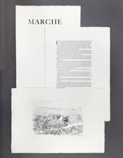 Arnaldo Ciarrocchi, Fabio
