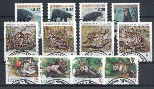 Catlike wwf orso - (925502),