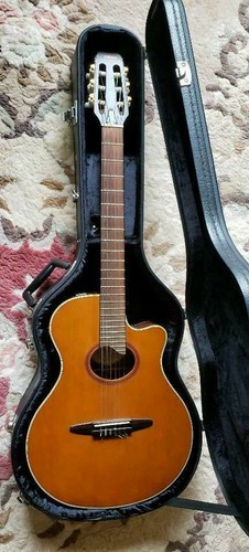 Chitarra acustica classica