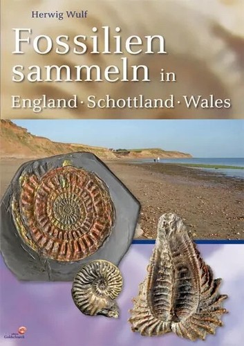 Fossilien sammeln england - sammeln, in