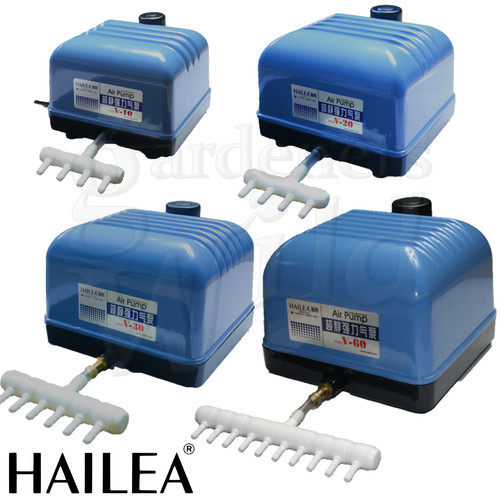 Hailea pompa aria stagno - hailea,