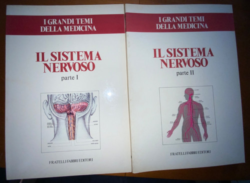 Sistema nervoso grandi - sistema, i