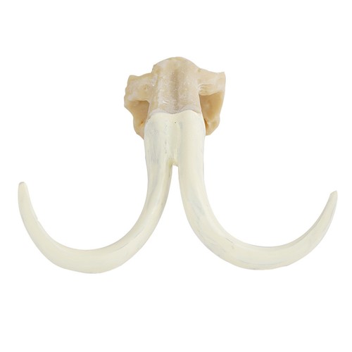 Decorazione per acquario - decorazione,