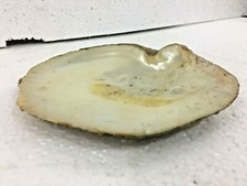 Antico Vecchio Raro Grande