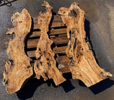 Legno ulivo disco - ulivo,