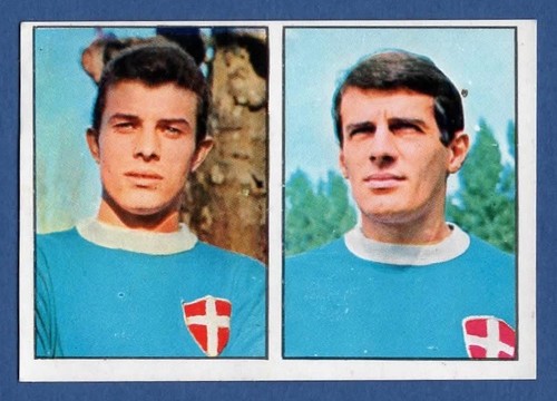 Figurina calciatori panini - figurina,