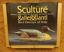 Sculture galleggianti: Anatre
