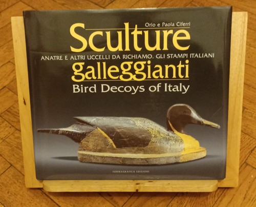 Sculture galleggianti anatre - sculture, galleggianti:
