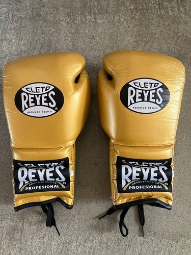 Guantoni boxe professionali - da,