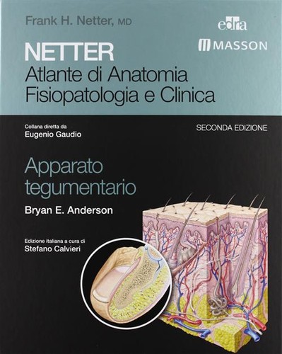 Netter atlante anatomia - netter.,