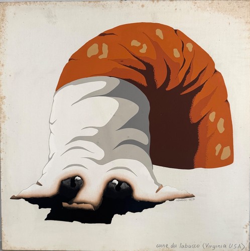 Armando testa cane - armando,