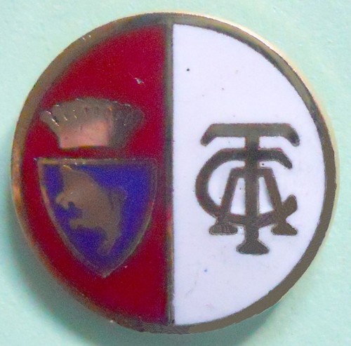 Distintivo spilla pin badge - pin,
