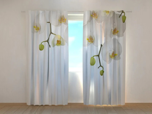 Tende grandi orchidee - tende,