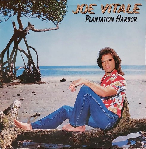 Joe vitale plantation - joe,