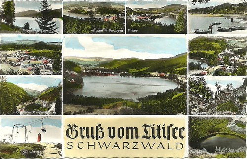 Titisee foresta nera - foresta,