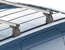 Originale Ford Portapacchi