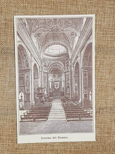 Carpi nell 800 - carpi, del