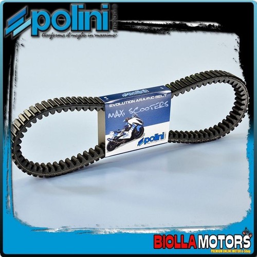 248 069 cinghia variatore - 248.069.1,
