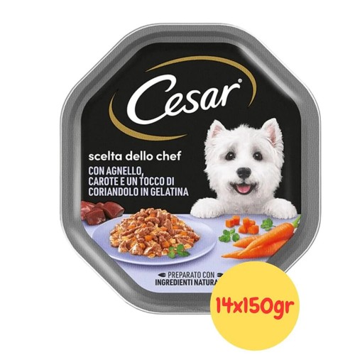 Cesar per cani - cesar,