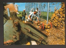 BEAUVILLIERS / MAULOUP (28)