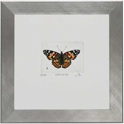 Falce cardo vanessa - falce,