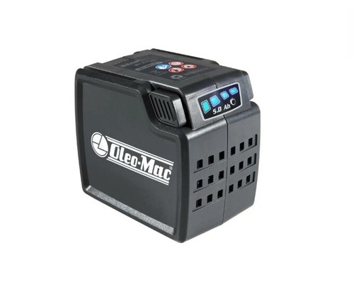 Batteria litio oleomac - litio,