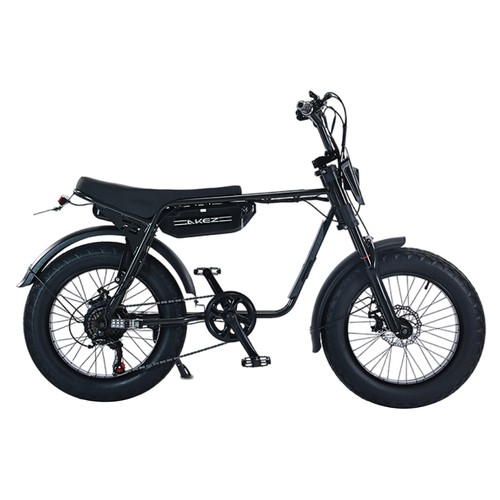 Bicicletta elettrica 750w - bicicletta, fat