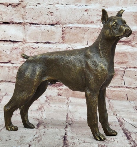 Statua cane boxer - , bronzo