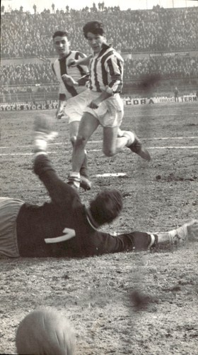 Foto originale agenzia - originale, d'agenzia