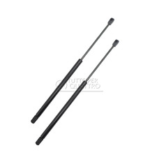 2 Molle A Gas Posteriori Baule