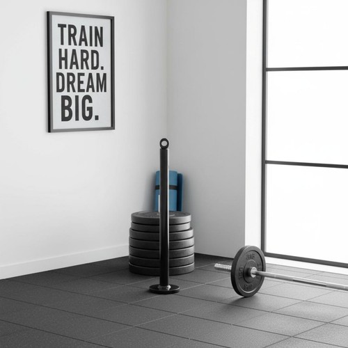 Supporto dischi palestra - supporto,