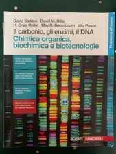Carbonio gli enzimi - enzimi,, il